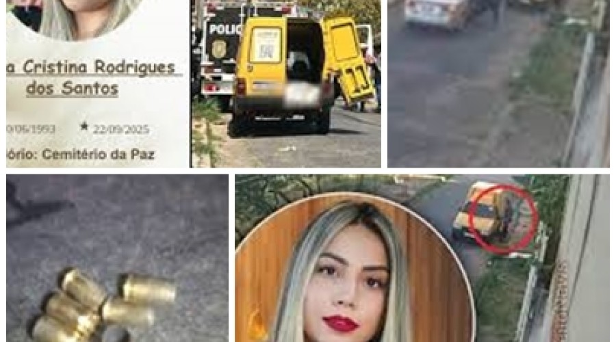 Advogada criminalista disse estar 