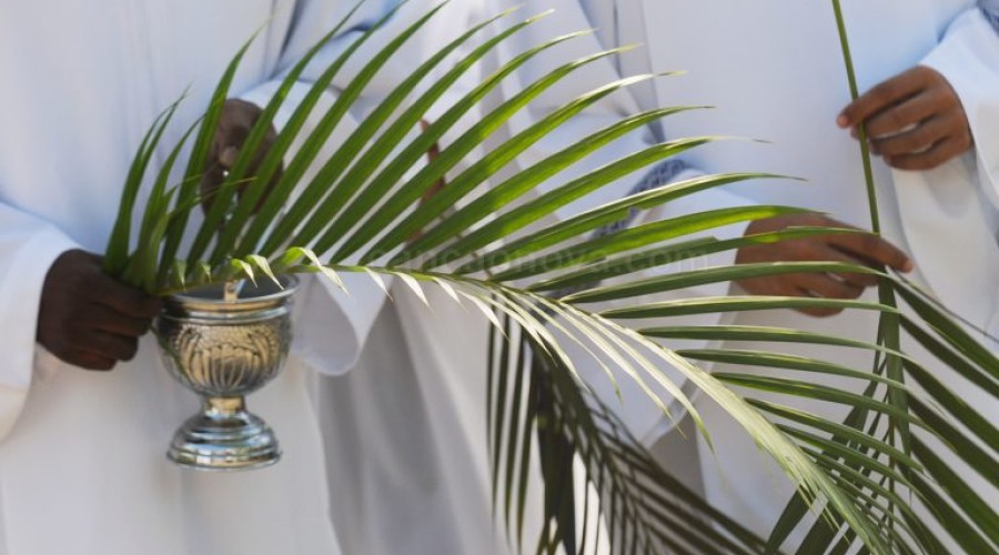 A importância do Domingo de Ramos