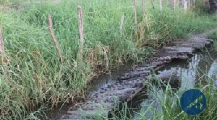Tragédia em Araioses: duas crianças morrem eletrocutadas em cerca elétrica clandestina