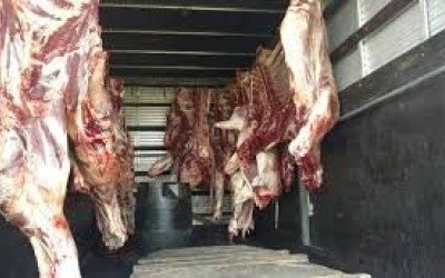 PRF apreende 5,7 toneladas de carne transportadas de forma irregular em Balsas no MA