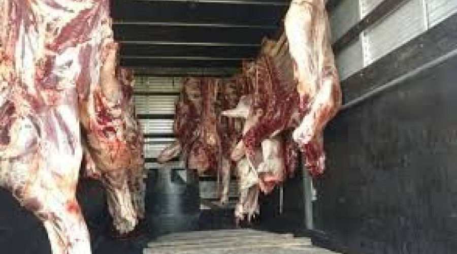 PRF apreende 5,7 toneladas de carne transportadas de forma irregular em Balsas no MA