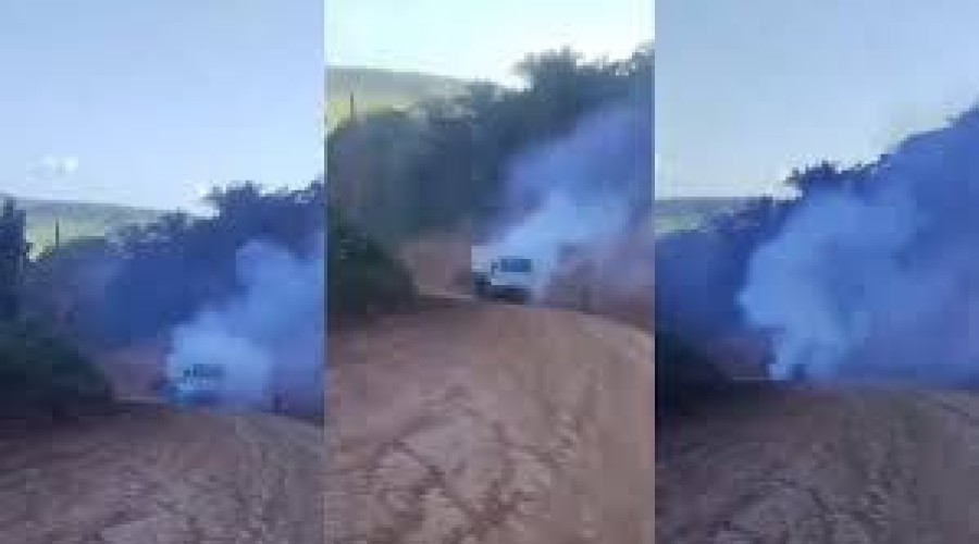 VÍDEO: Caminhão boiadeiro pega fogo na MA-008, entre Paulo Ramos e Marajá do Sena