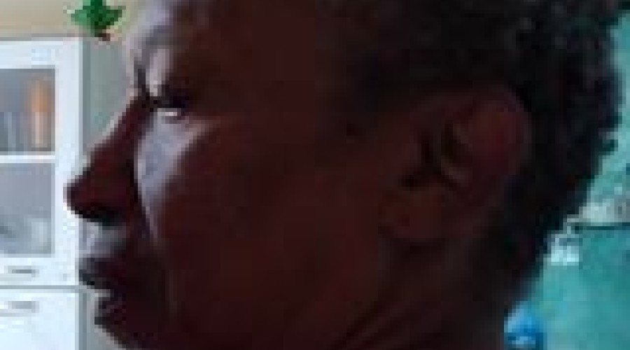 PAÍS SEM VERGONHA - Jose Gomes