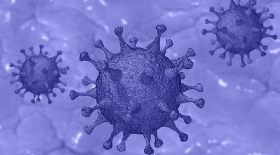 Anvisa autoriza uso emergencial de coquetel contra a covid-19