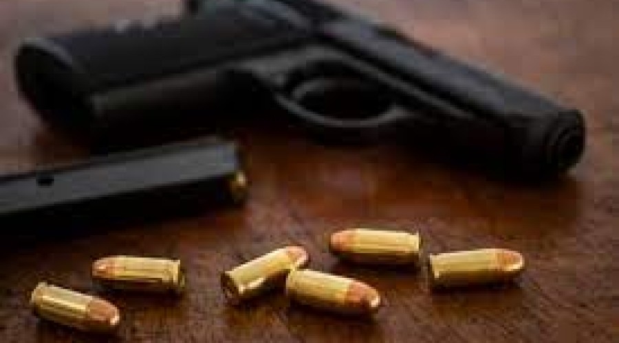 Governo Lula diz que 1,6 mil armas já foram entregues de forma voluntária