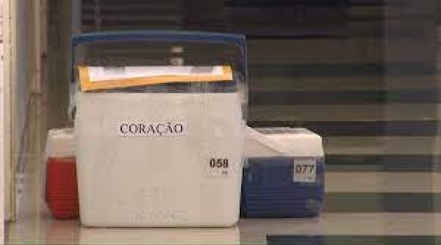 MARANHÃO: A luta de profissionais para a doação de órgãos e tecidos , onde há mais de mil pessoas à espera