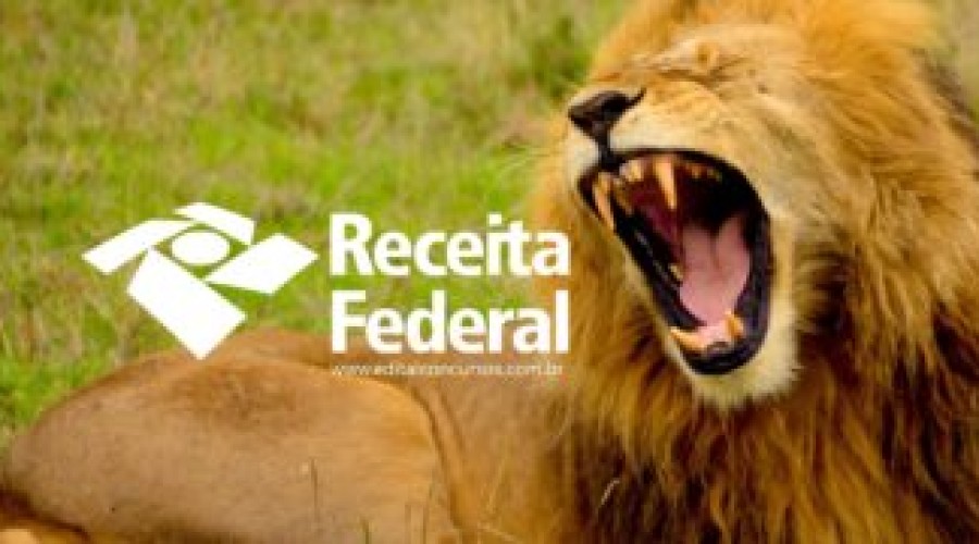 IR 2020: Programa para preenchimento da declaração é liberado pela Receita