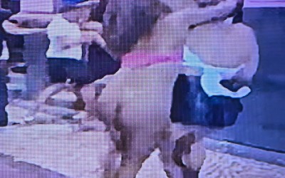 Mulher fica nua após briga generalizada em bar: vídeo viraliza