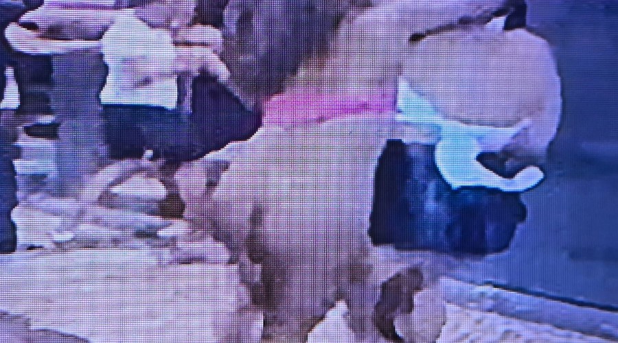 Mulher fica nua após briga generalizada em bar: vídeo viraliza