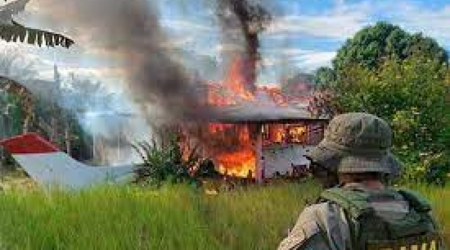 Mais de 190 acampamentos de garimpeiros são desmontados em território ianomâmi