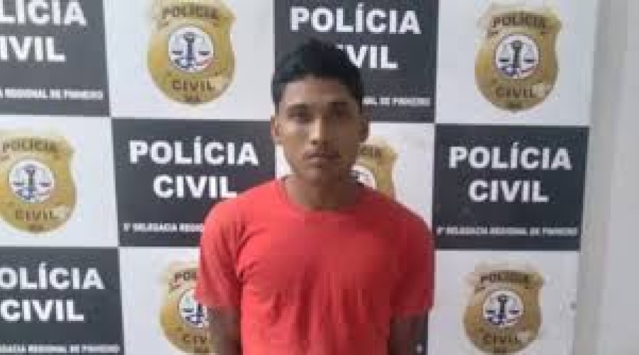 Pinheiro: Homem armado invade loja e rouba pássaro avaliado em quase R$ 30 mil no Maranhão