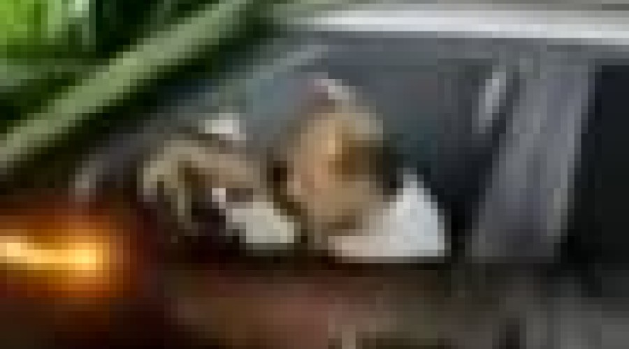 Idoso atropela três pessoas e mata uma em São Mateus (MA)