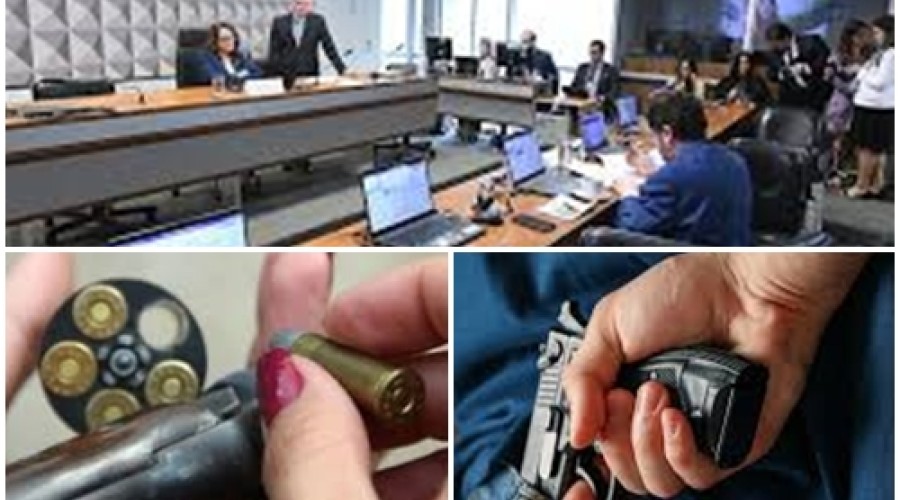 CDH aprova porte de arma para mulher sob medida protetiva de urgência