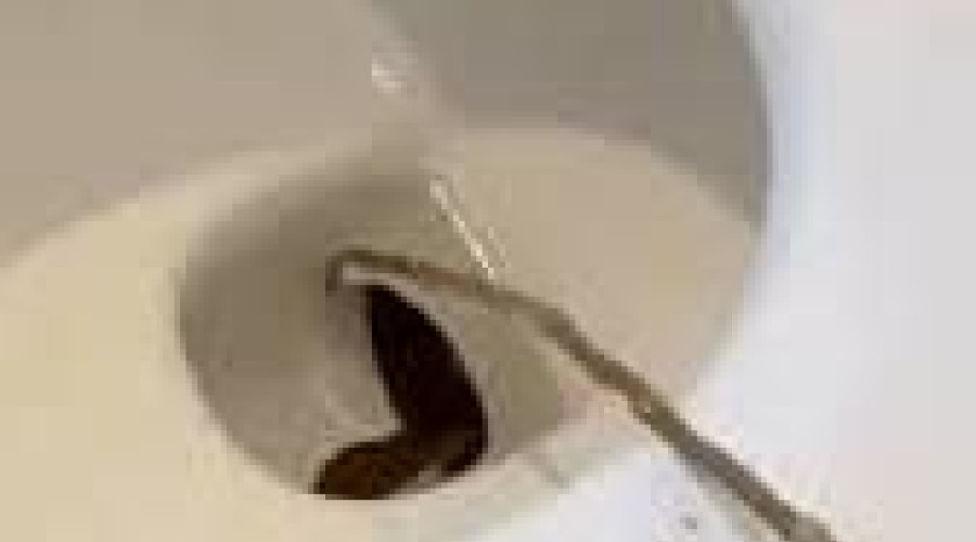 Vídeo: Hóspede encontra cobra venenosa de 1,2m dentro de vaso sanitário em hotel