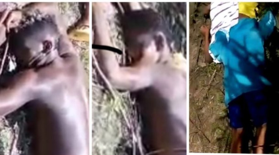 Assista ao Vídeo: Três adolescentes são mortos quando catavam caranguejo na zona rural de São Luís