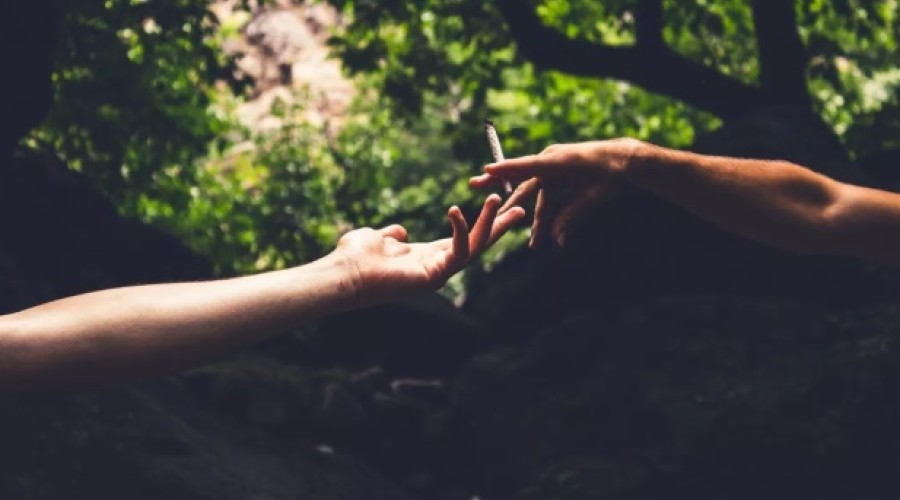 Maconha pode melhorar o orgasmo para as mulheres, diz estudo