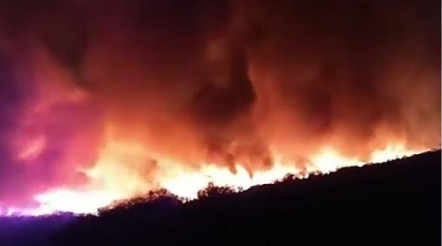 Assista ao Vídeo: Aflição e desespero, incêndio de grandes proporções atinge região de divisa entre Ceará e Piauí