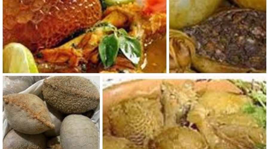 Raízes da História: Hoje 24 out. Dia do Bucho-A culinária do bucho(Vídeo-Buchada de Bode-Carneiro) : história, variedade e significado