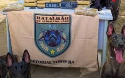 Seis meses após apreensão, polícia encontra mais 30 kg de maconha em carro