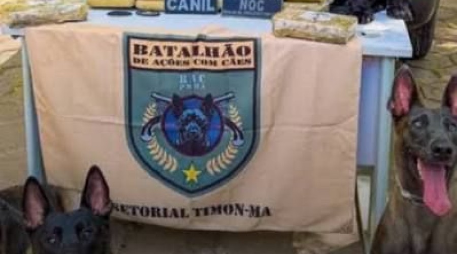 Seis meses após apreensão, polícia encontra mais 30 kg de maconha em carro