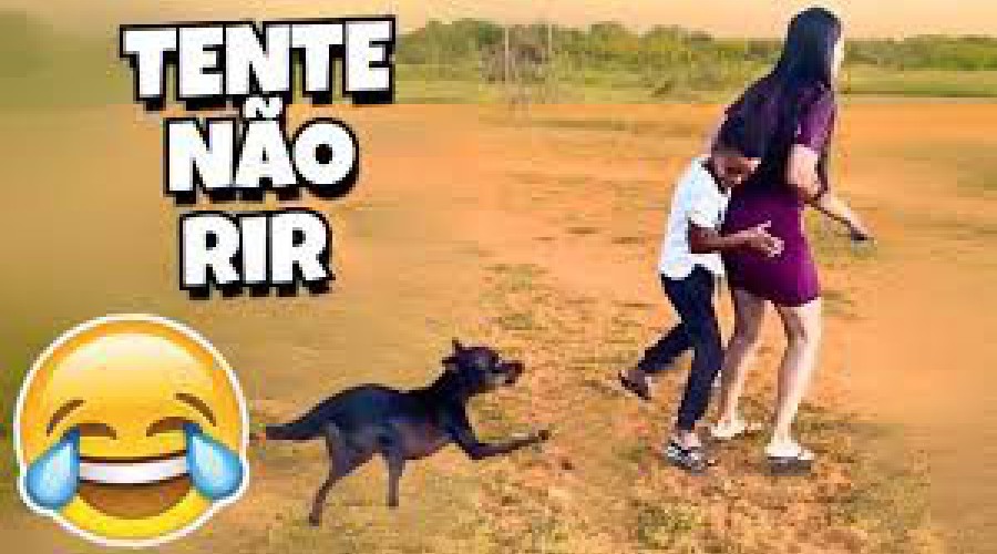 40 MINUTOS TENTE NÃO RIR OS VÍDEOS ENGRAÇADOS de MEMES 2025