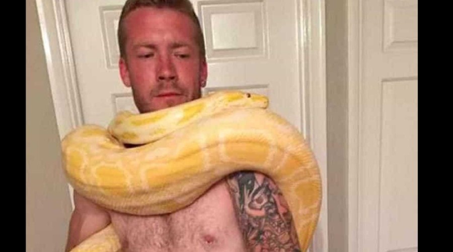 Homem de 31 anos morre estrangulado pela cobra de estimação