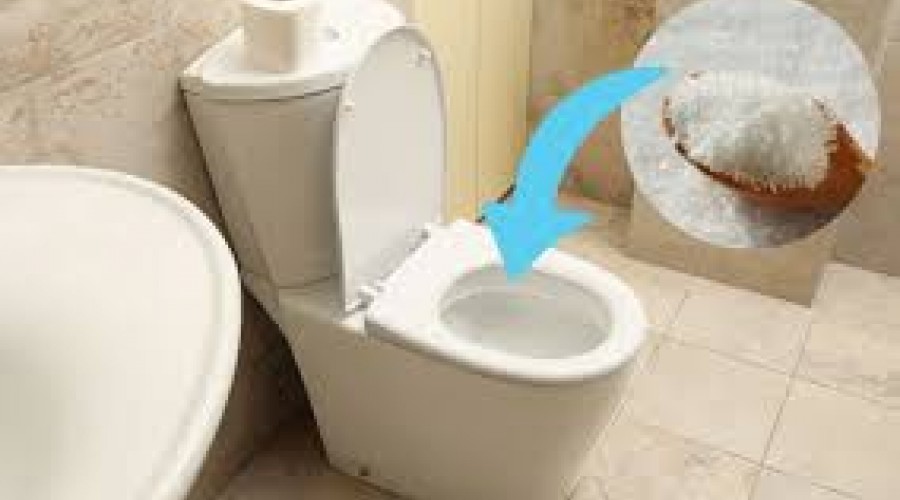 Dica de Casa: Veja por que deve colocar sal grosso no vaso sanitário todas as noites