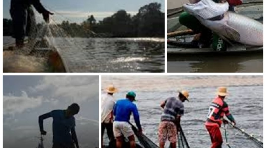 TCU aponta problemas no seguro-defeso para pescadores no Maranhão e Pará;  juntos concentram o maior o maior número de pescadores cadastrados no país.