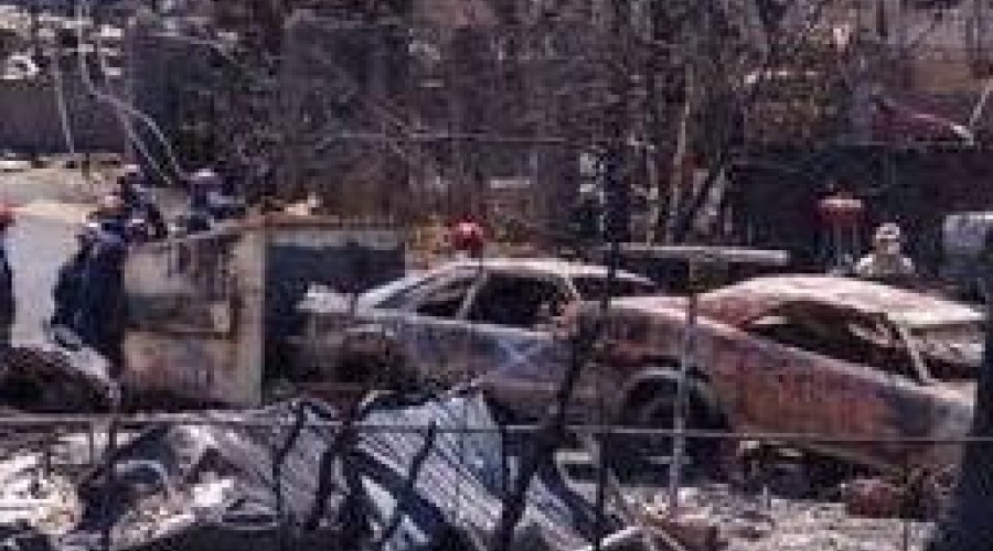 Vídeo: Brasileiros deixam 5 cães e se jogam no mar para fugir do fogo no Havaí