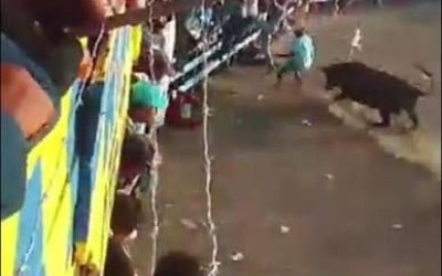 Vídeo: Homem morre após ser atacado por touro durante festival tradicional