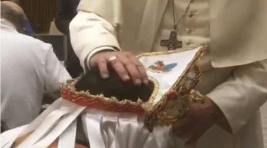 IMAGEM DO DIA: Maranhense do Boi Brilho da Ilha recebe a bênção do Papa Francisco