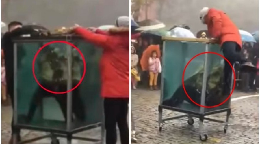 Assista ao Vídeo: Mágico tenta fazer truque dentro de caixa d’água, mas falha e o resultado é trágico; vídeo
