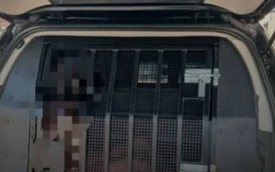 Raposa: Homem suspeito de crime sexual contra sobrinha de nove anos é preso