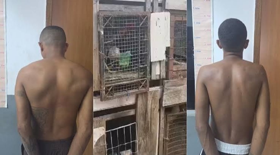 Polícia prende dois foragidos e suspeito de manter rinha de galos em Timon