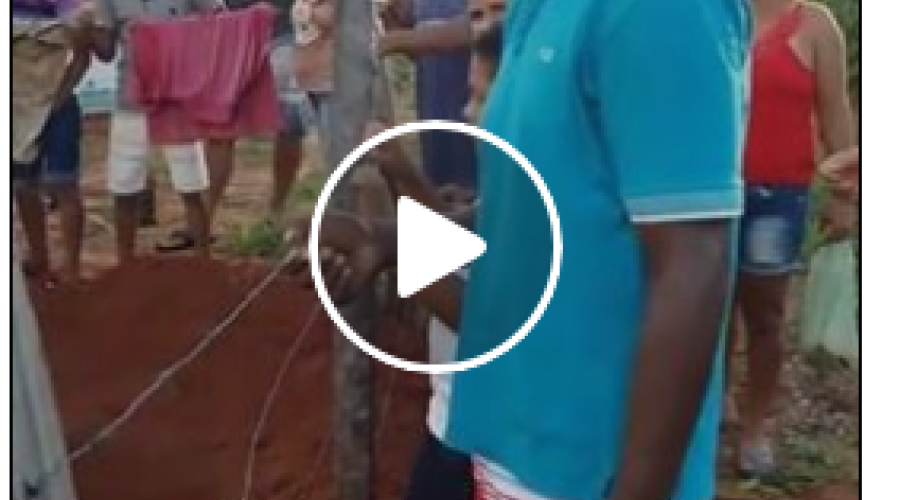 ASSISTA AO VÍDEO: Jovem cava a própria cova e anuncia suicídio para outubro no Maranhão