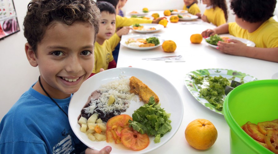 Alimentação Saudável nas Escolas - Promoção da alimentação adequada nas redes de ensino