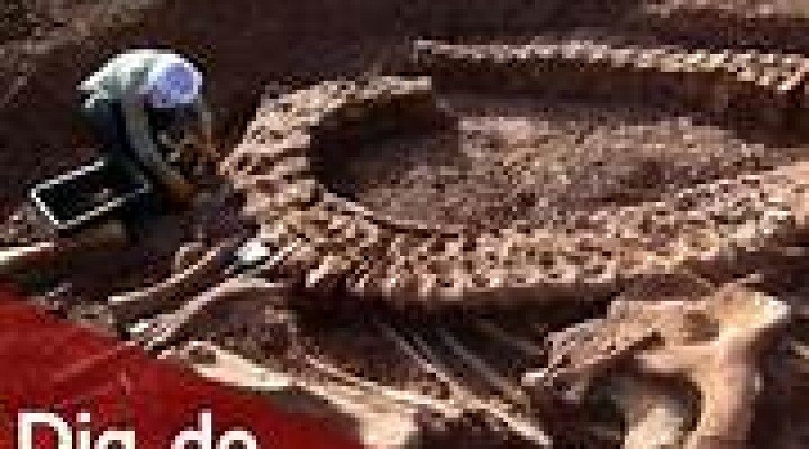 Hoje 15 de junho: Dia do Paleontólogo - Guardião dos Fósseis: A Importância do Dia do Paleontólogo