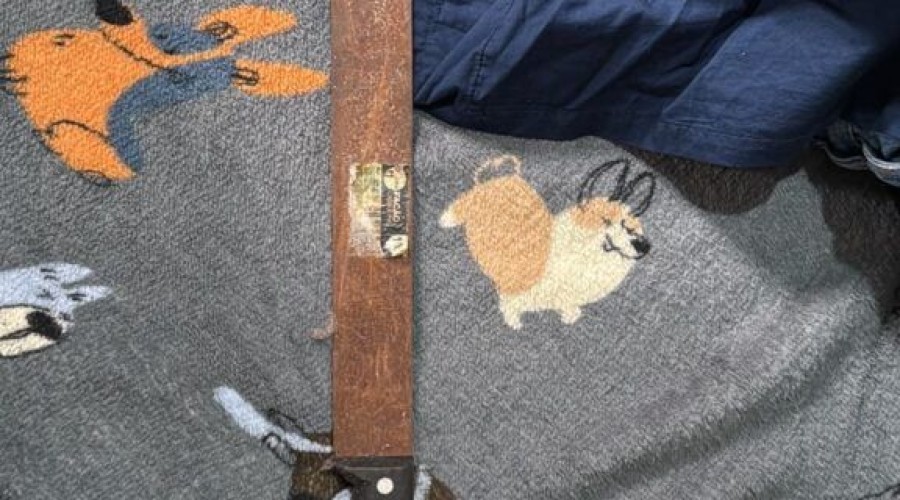 Vídeo - São Luís: Operação da PF mira mulher suspeita de incitação à violência contra crianças no Maranhão