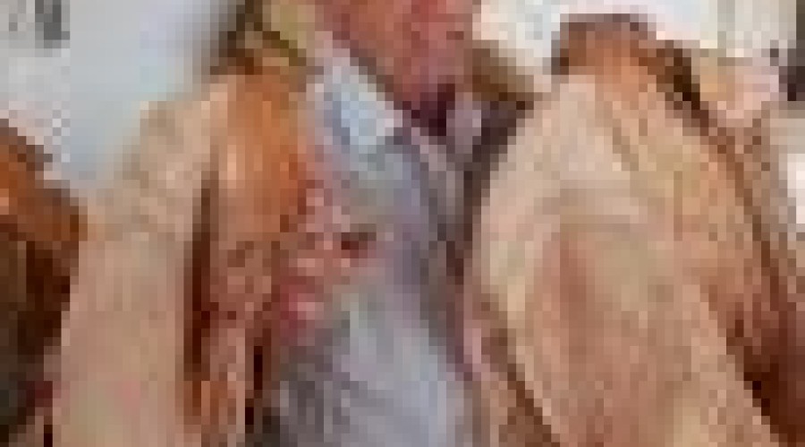 Morre Zé do Mestre, um dos maiores artistas do artesanato em couro