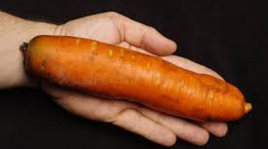 Idosa de 70 anos, usa cenoura como brinquedo intimo e acaba internada em hospital