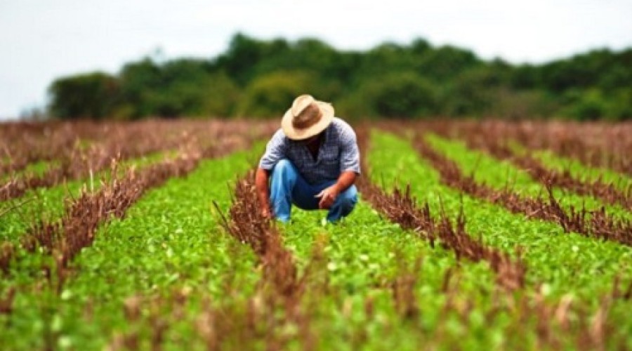 Declaração do Imposto Rural começa, hoje (12)