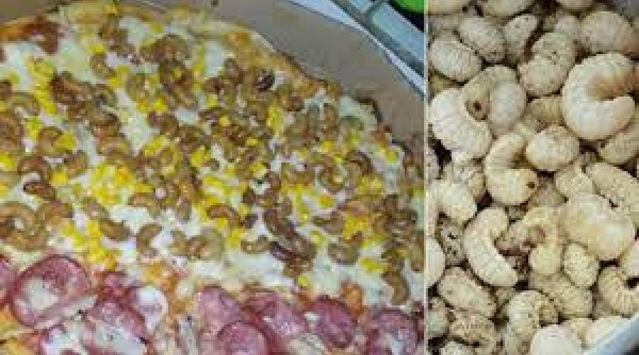 Vídeo: Pizza de larva de besouro vendida no Maranhão viraliza