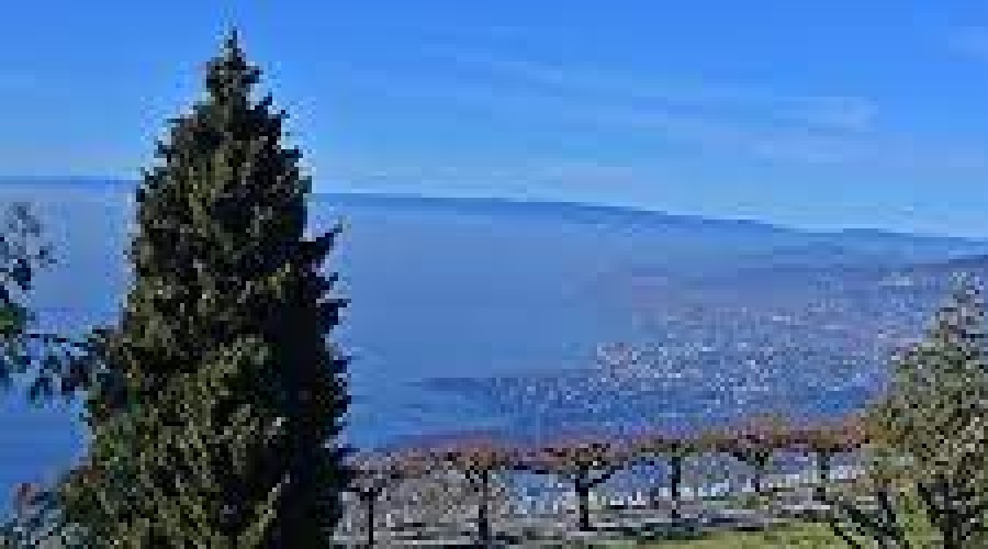 Ex-jogador confessa ter matado mafioso e jogado corpo no lago, diz jornal...