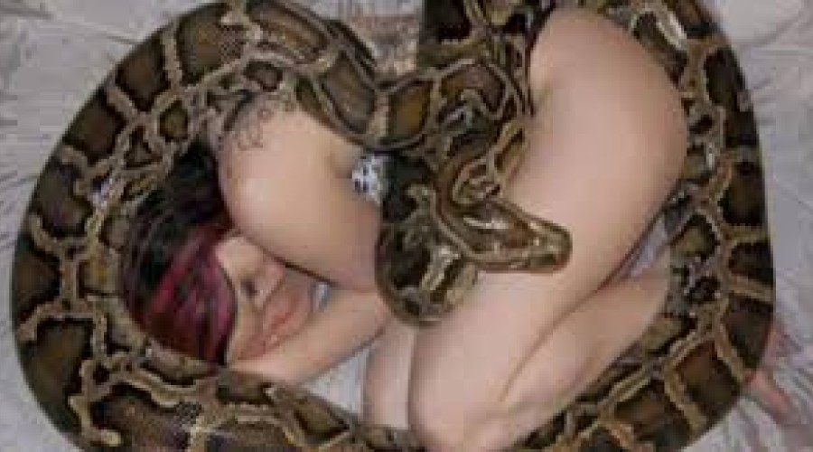 Dançarina é encontrada morta com duas cobras em quarto de boate