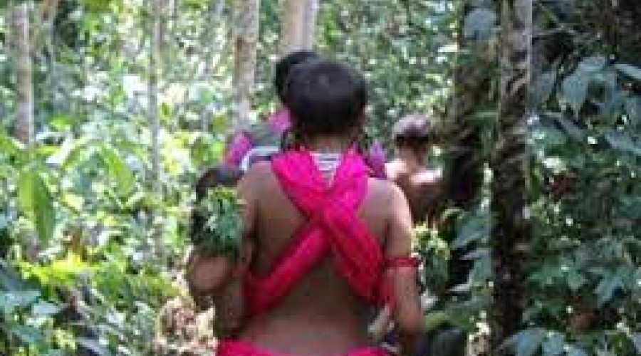 Ministério apura denúncia de que garimpeiros ilegais engravidaram 30 adolescentes Yanomami
