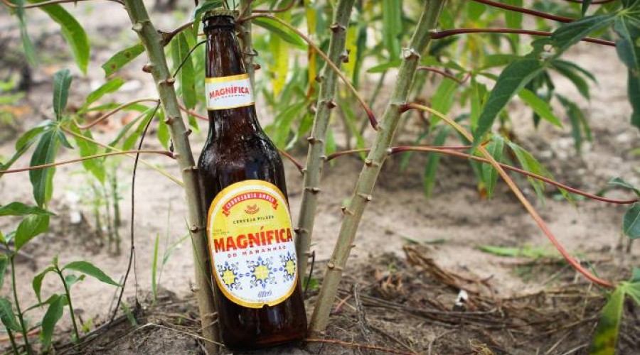 Cerveja criada no Maranhão a partir da mandioca na gestão Flávio Dino é destaque no mais importante jornal econômico do mundo
