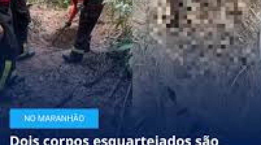 Imperatriz: Dois corpos esquartejados são encontrados em área de vegetação no MA