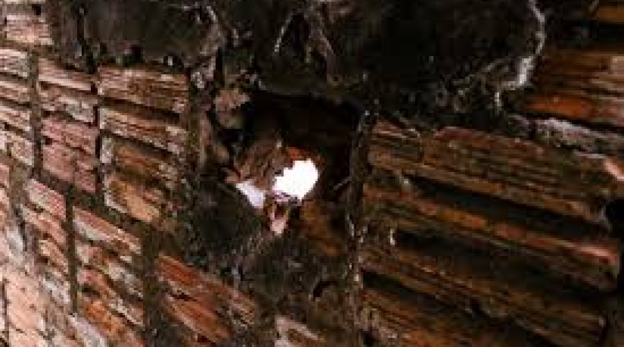 Homem fez 45 buracos no muro para mostrar pênis para a vizinha