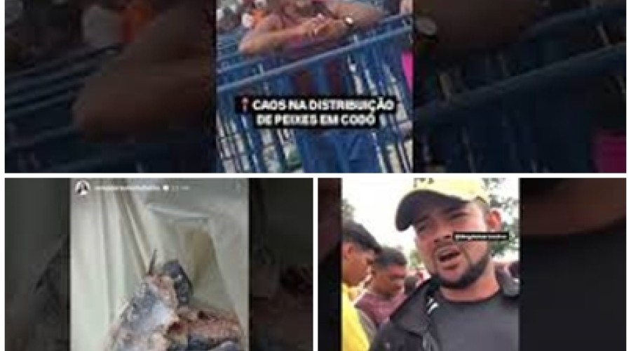 Vídeo: Peixe estragado e desorganização marcam início de distribuição do alimento em cidades do MA