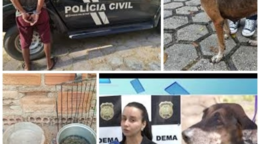 Homem com passagens por tráfico é preso por maus-tratos a cadela